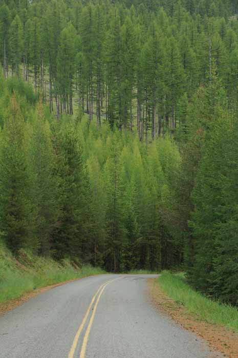 Yaak River Road